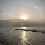 Talia Aiman Profile Picture